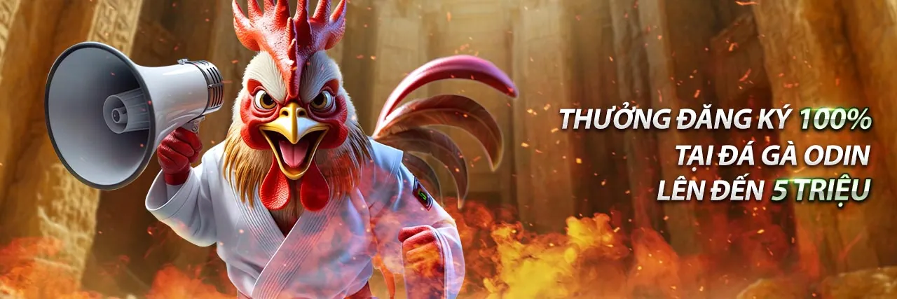 Hình ảnh đại diện cho bảo vệ dữ liệu và tuân thủ GDPR tại sodo đăng nhập